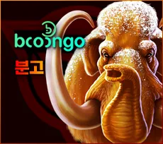 투데이 슬롯